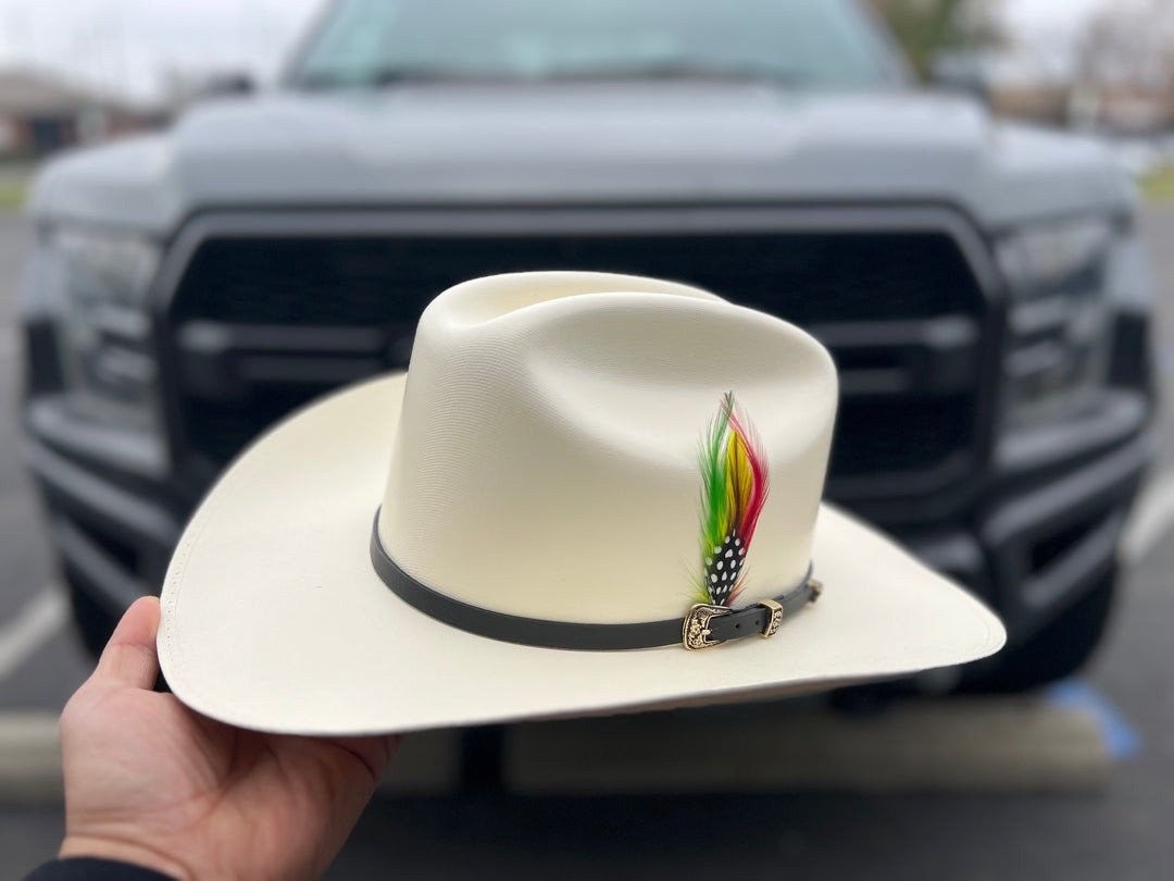 Western Feather Cowboy Hat